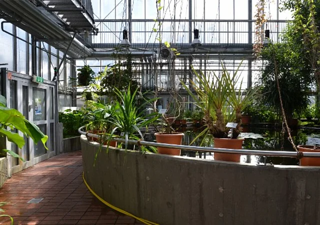 Mangrovenhaus