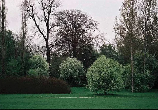 Park an der Ilm Weimar