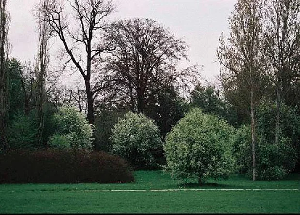 Park an der Ilm Weimar 