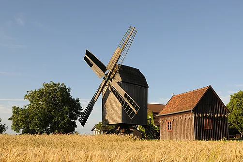 Windmühle in der Magdeburger Börde