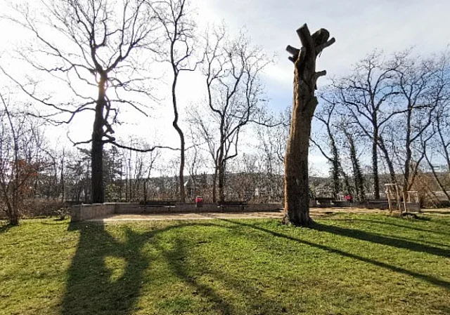 Sitzgruppe mit Baumskulptur