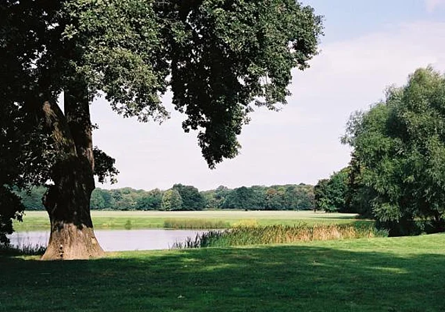 Rosental, Große Wiese, Nähe Emil-Fuchs-Str.