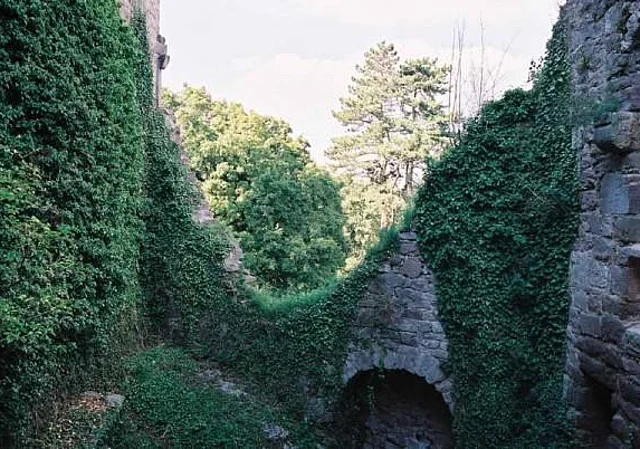 Ruine innen