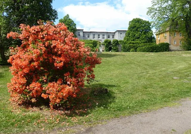 Parkseite