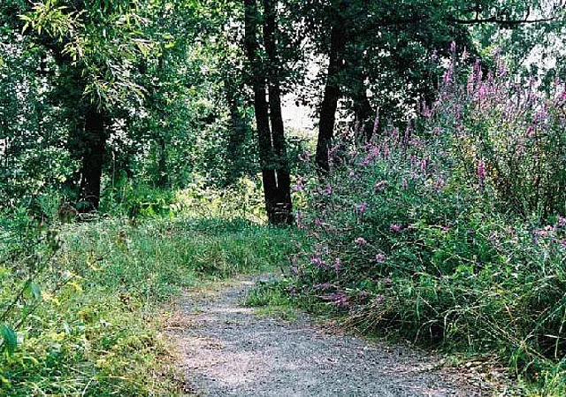 Weg Blick nach Südosten