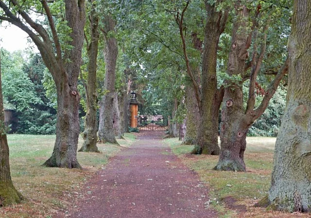 Schloss Mosigkau, nördlicher Garten