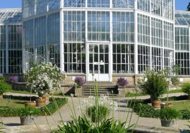 Palmenhaus, Oktogon