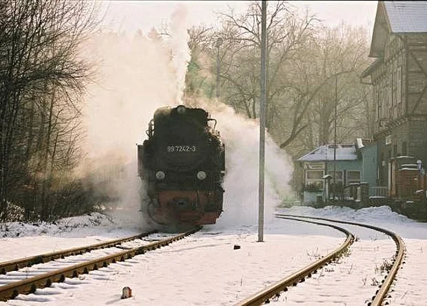 Bahnhof Mägdesprung, Blick nach Osten 