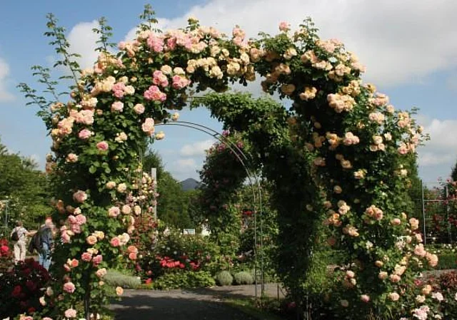 Jubiläumsgarten