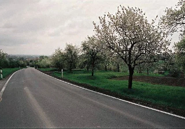 Straße Blick nach Osten